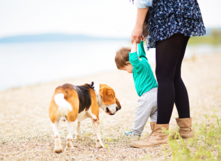 A woman holding hands with a toddler while walking a dog.