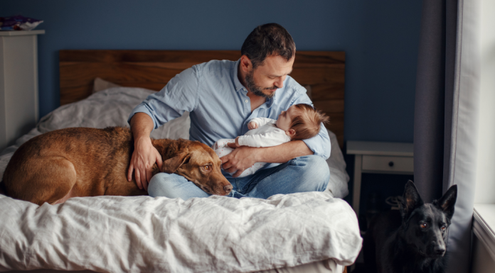 A dad holding a baby and a dog.