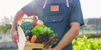 A farmer holding a basket of GMO-free organic vegetables.