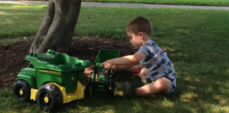A boy playing with his trucks in the backyard.