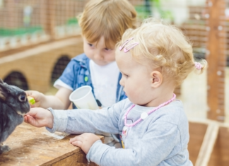 Children at a petting zoo.