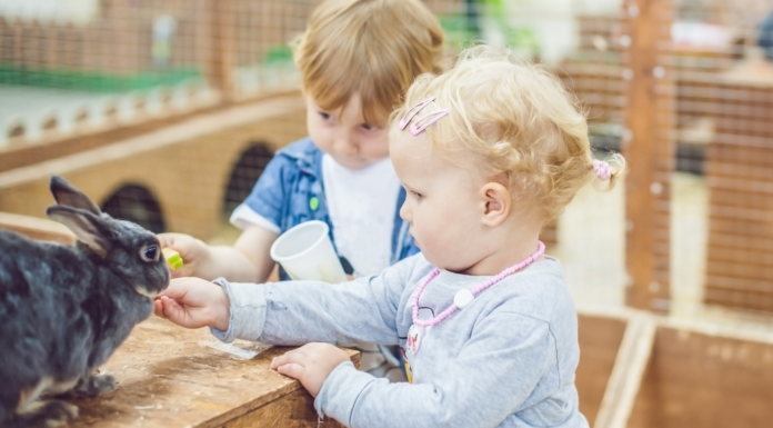 Children at a petting zoo.