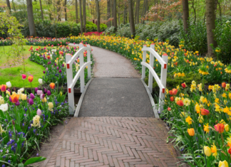 Springing into Spring….FINALLY Springing into spring.