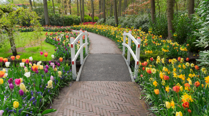 Springing into spring.