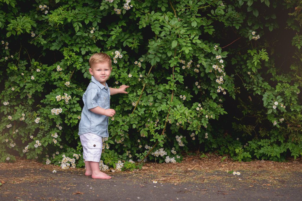 nlalor-photography-2015-05-31-michelle-family-photos-14