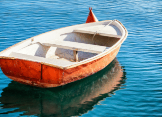 A boat in the water.