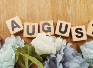 A Mom’s Guide to Fairfield County: August 2016 August