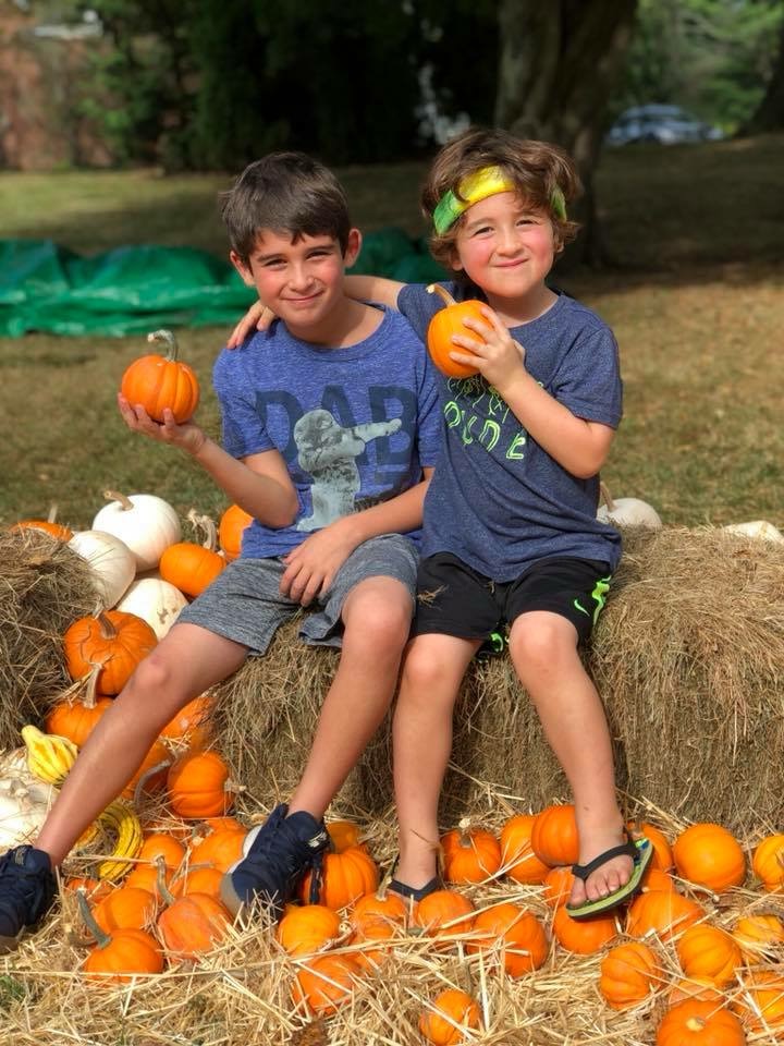 fall fomo