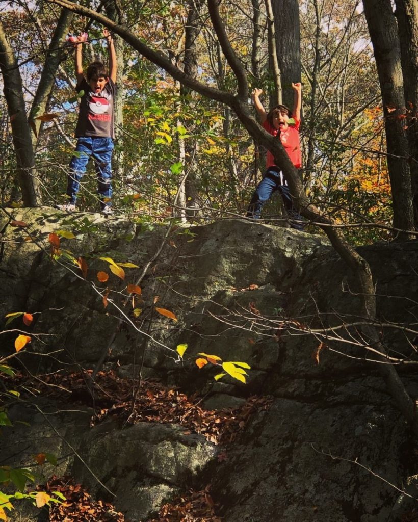 fall fomo