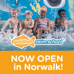 goldfish swim school norwalk