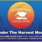 UnderTheHarvestMoon_GoodMWilton
