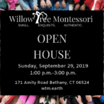 Open house (6)