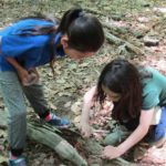 Searching for Clues in the Sanctuary
