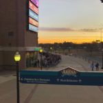 webster bank