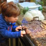 child_lobby_animal_case2
