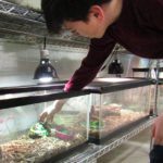 fnc_jr_animal_care_turtle