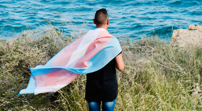 A person with a transgender flag wrapped around them.