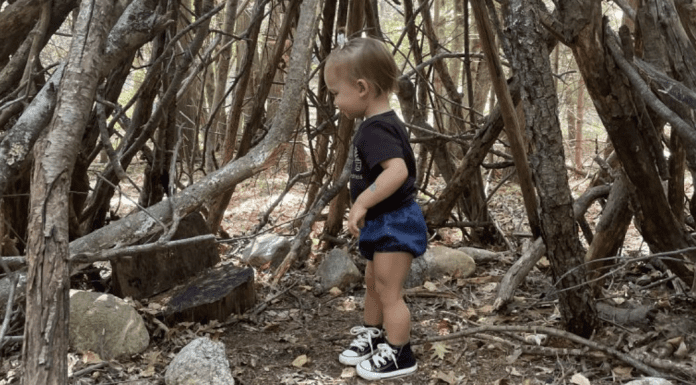 A little girl playing in a teepee made of sticks.