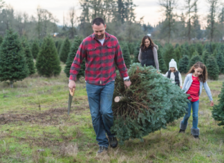 A family cutting down a Christmas tree.