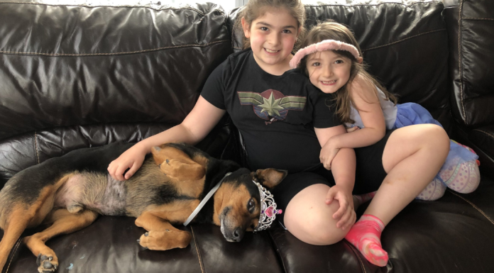 Two girls on the couch with their dog.