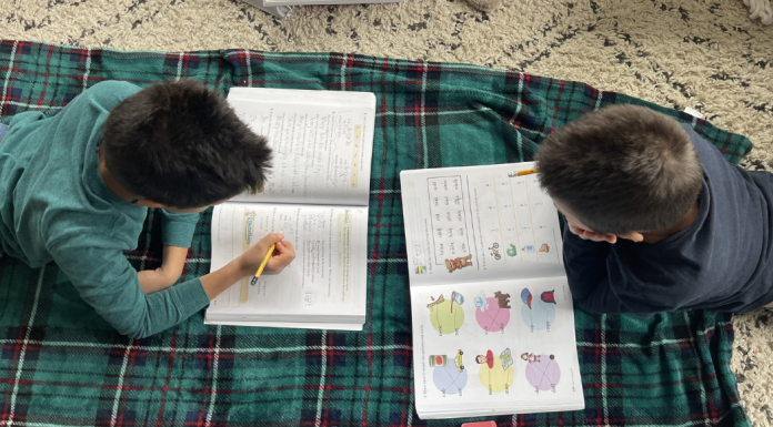 Two boys doing their school work at home.