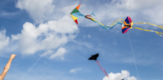 Kites soaring in the sky.