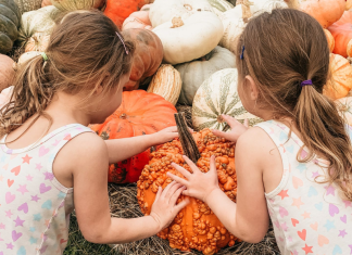 Twins looking at pumpkins.