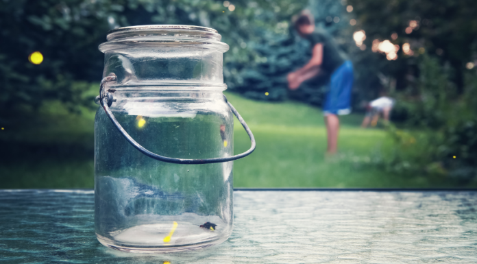 A glass jar to catch lightening bugs.