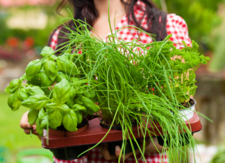 A woman holding a basket of herbs grown in a home garden.