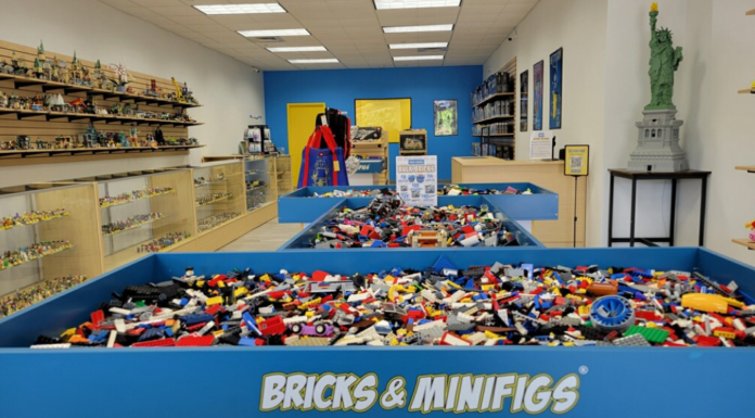 Bricks & Minifigs
