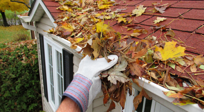 Cleaning the gutters.