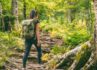 A woman rucking in the woods.