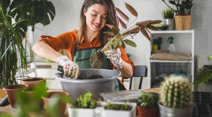 A woman working on her hobby of gardening.