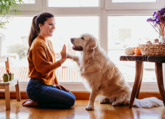 A woman shaking hands with a dog.