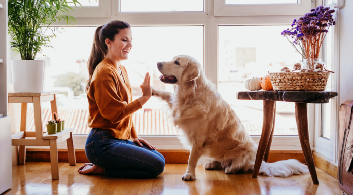 A woman shaking hands with a dog.