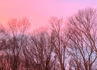 Long winter days.