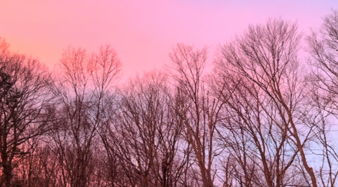 Long winter days.