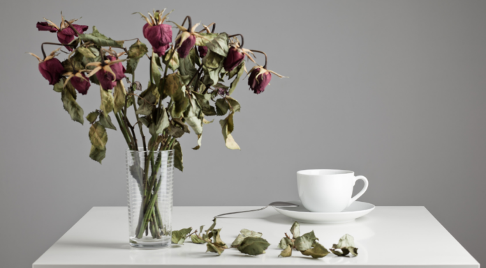 Dying flowers.