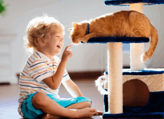 A boy playing with a cat.