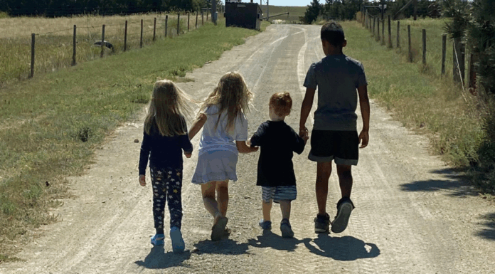 Cousins walking down a path.