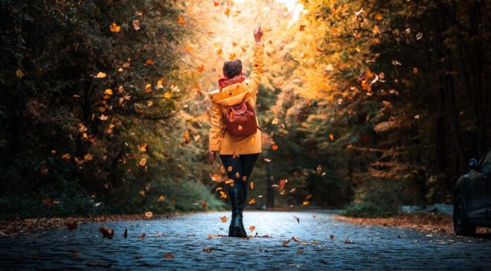 Fall fashion