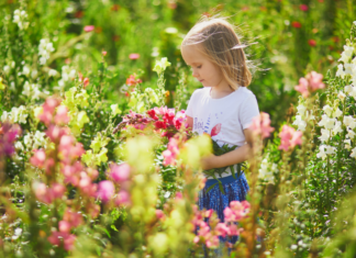 The Best Flower Farms in Connecticut A girl picking flowers.
