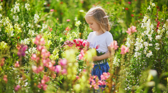 A girl picking flowers.