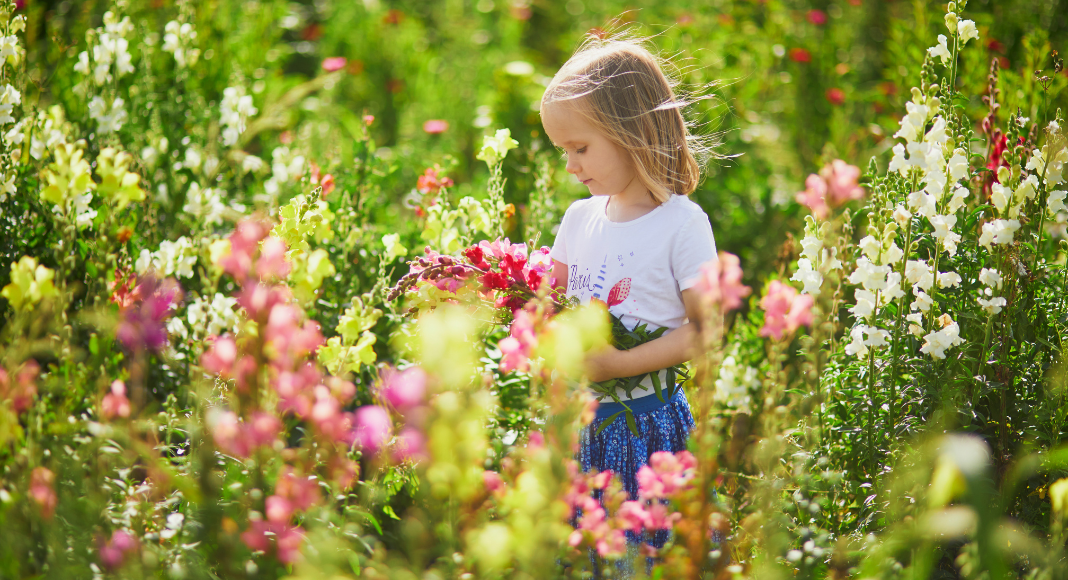A girl picking flowers.