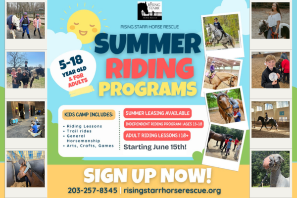 Riding Horse Rescue