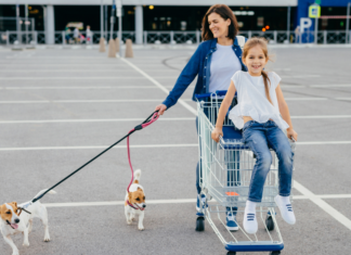 A mom pushing her daughter in a grocery cart and walking two dogs.