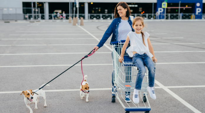 A mom pushing her daughter in a grocery cart and walking two dogs.
